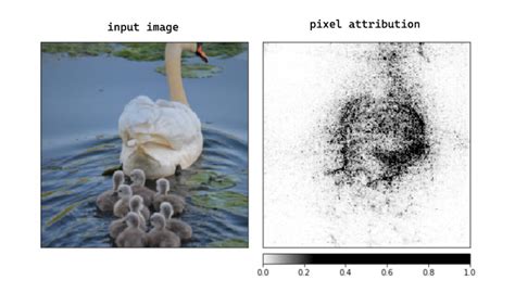 Image result for Machine Learning Project with Image Data