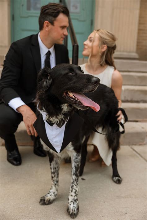 The Art of the Courthouse Wedding - alimillerphotography.com