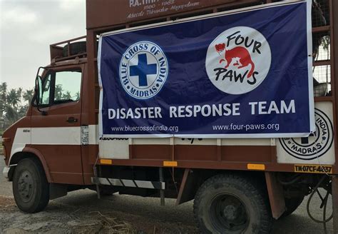 Animal Disaster Relief in India - FOUR PAWS International - Animal ...