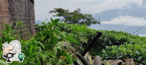 Peshok view point, Peshok Tea Garden - Restaurant menu, prices and reviews