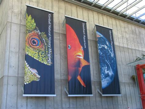 平面海报- 加州科学博物馆(CaliforniaAcademyofSciences)视觉设计-徐文昊