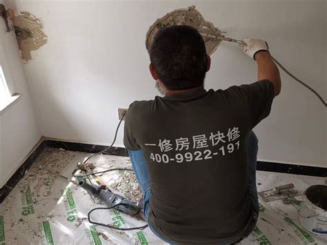 高频墙锯 - 上海得宴电动工具有限责任公司