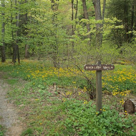 STUART RECREATION AREA (Elkins) - Campground Reviews & Photos - Tripadvisor
