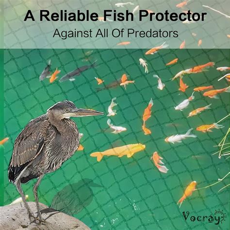 Vocray Pond Netting Cover for Leaves 28 x 30 Ft, 1/2 Inch India | Ubuy