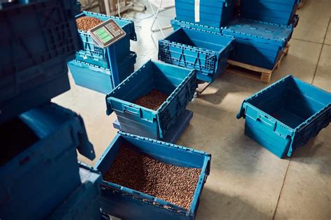 Image result for Using Plastic for Containers