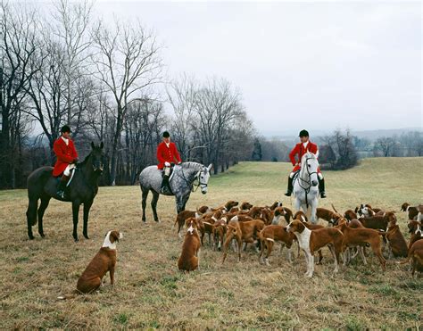 Foxhunting | History, Rules & Traditions | Britannica