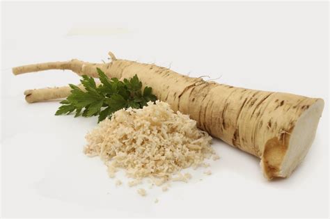 Horseradish En Espanol Que Significa at Blanche Howard blog