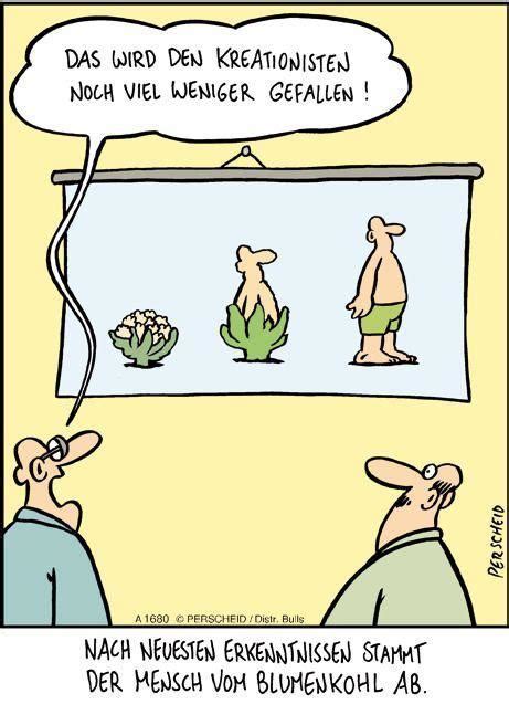 Evolution des Blumenkohls - Memes - Schlechte Witze