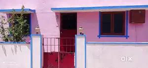 Individual Rental House - For Rent: Houses & Apartments - 1827246418