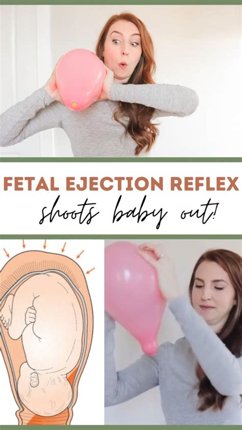 Fetal ejection reflex the body’s natural pushing mechanism – Artofit