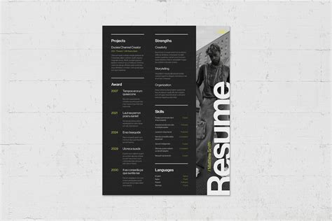 CV Resume - BrandPacks