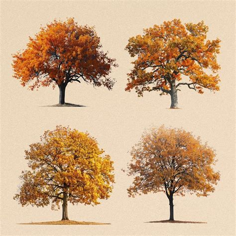 Image result for Tree for InDesign