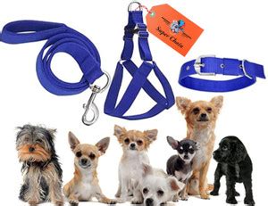 SUPER CHAIN Nylon Dog Collar with Soft Padded Collars Leash Dog Harness ...