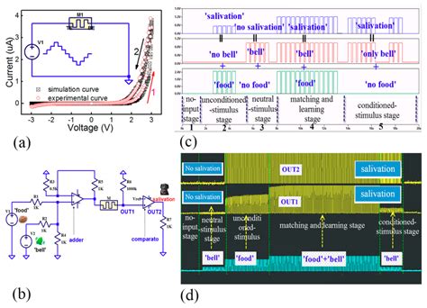 Analog Memristive Characteristics and Conditioned Reflex Study Based on ...