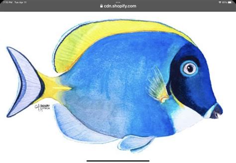 Colorful Fish Drawing