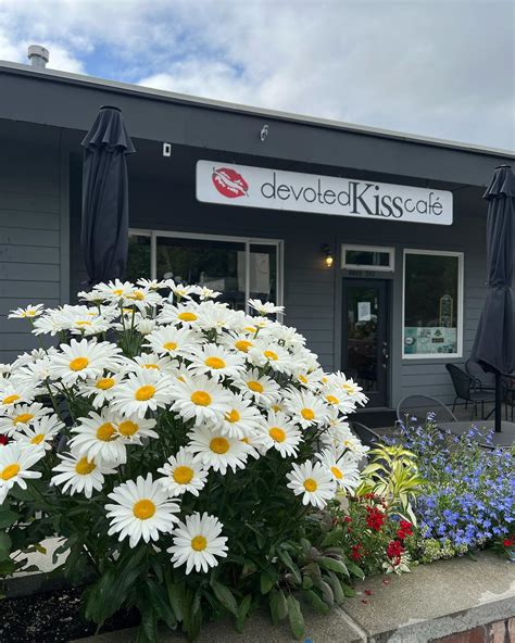 Devoted Kiss Cafe (@devotedkisscafe) • Instagram photos and videos
