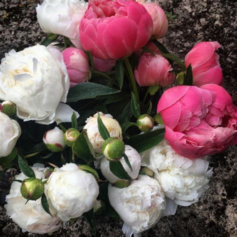 RUSTIC RIVER FARMS (2025) All You Need to Know BEFORE You Go (with ...