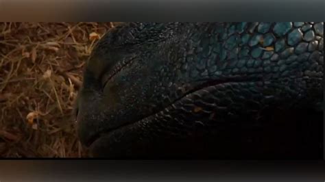 Image result for Toothless Model Live-Action