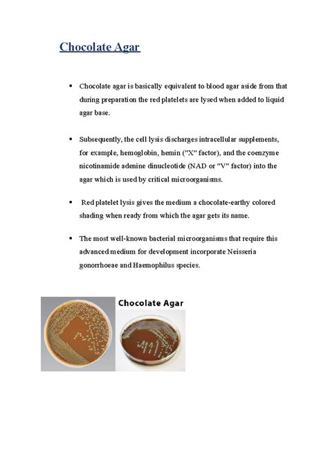 Chocolate Agar