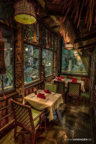 Cosmic Blazer-: Photo