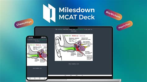 Anki Mart - Premium Flashcard Decks for Medical Students