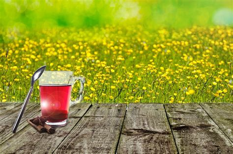 Image result for Health Tips