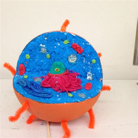 Image result for Styrofoam 3D Cell Model