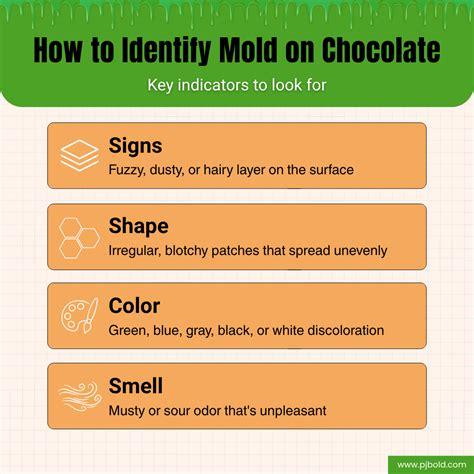 How to Remove Mold on Chocolate - Complete Guide for Homemakers – PJ Bold