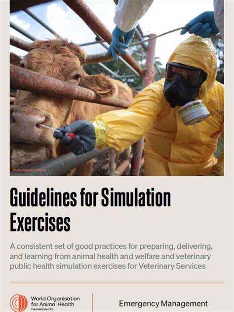 Image result for Simulation Exercise