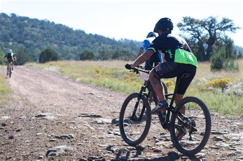 Bicycle Card Collection 的图像结果