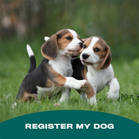Registration Policies | United Kennel Club (UKC)