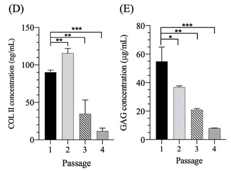 Restoration of the Phenotype of Dedifferentiated Rabbit Chondrocytes by ...
