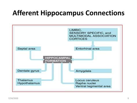 Limbic system Memory 的图像结果