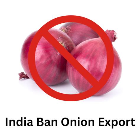 Top 10 export companies in India - Sterling Exports