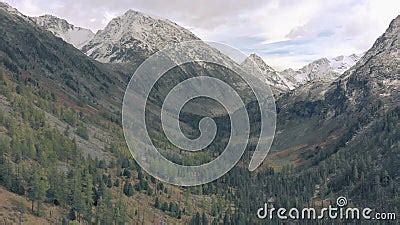 Image result for Procedural Programm and Object-Oriented Programming Difference