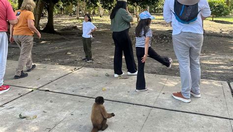 Tour de 5 días por el norte del Amazonas, Iquitos - Central de Reservas