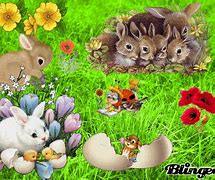 Image result for Snow White Bunny