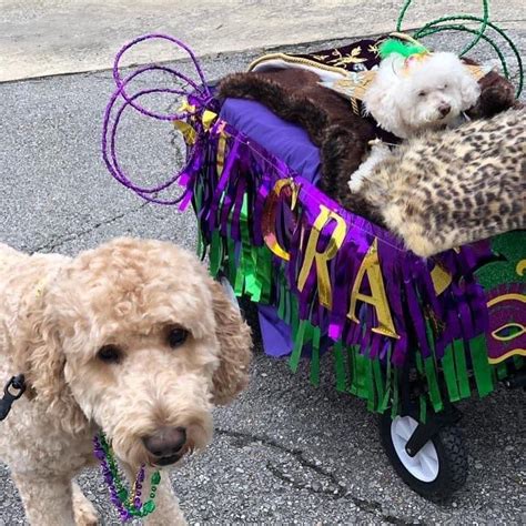 Image result for Decatur Al