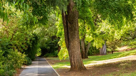 Are Dogs Allowed In The Botanical Gardens Adelaide