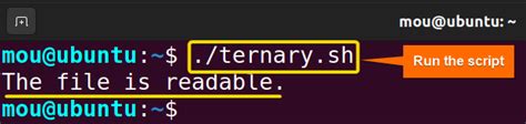Image result for How to Use If Else Statements Linux Terminal