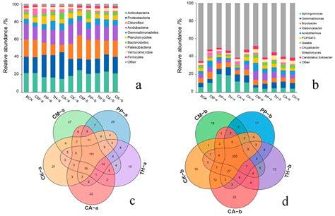 Biocontrol Agents Inhibit Banana Fusarium Wilt and Alter the Rooted ...