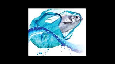 Plastic: Fish are ingesting micro plastics, says study | Chennai News ...