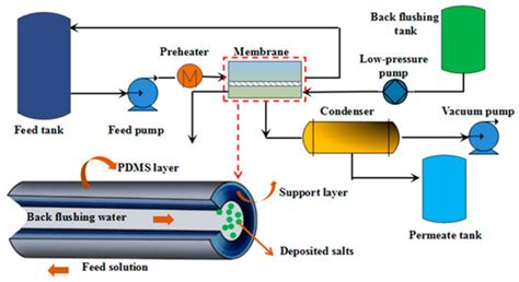 Pollution and Cleaning of PDMS Pervaporation Membranes after Recovering ...