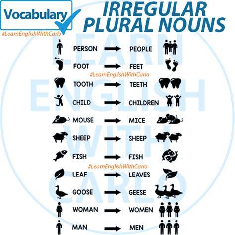 VOCABULARY - Irregular Plural Nouns - Welcome to Learn English with Carlo