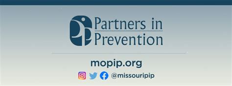 Summit County Community Partnership 的图像结果