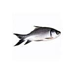 Buy Fish Fresho Fish - Rohu with head(Net weight approx 370 gm & above ...