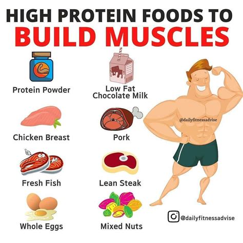 High Protein Foods For Muscle Building