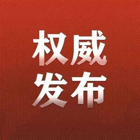 十河镇：强化监督 深入整治违规经商办企业问题_整改