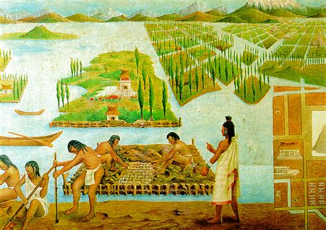 Chinampas, the water gardens developed by the Mexica (Aztecs ...