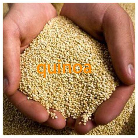 Quinoa en Hojuelas en Natoganic de Estados Unidos - ppfam.com